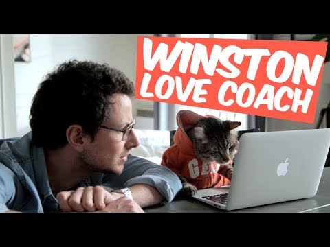 Winston love coach : la drague virtuelle photo
