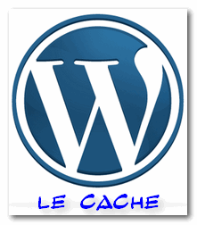 Optimisation : le cache