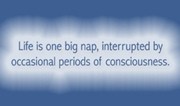 Life is one gib nap, interrupted by occasional moments of consciousness...